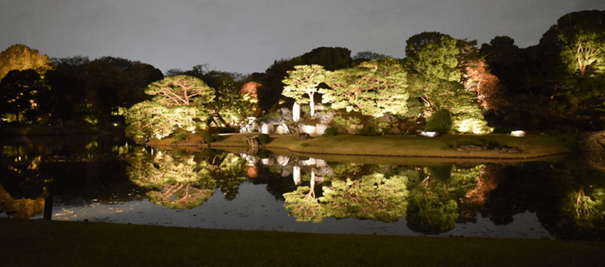 ＜取材案内＞明日11/19(火)まで申込受付 「庭紅葉の六義園　夜間特別観賞」11/20(水)メディア内覧会