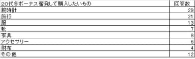 「冬のボーナスを奮発して購入したいもの」アンケート結果