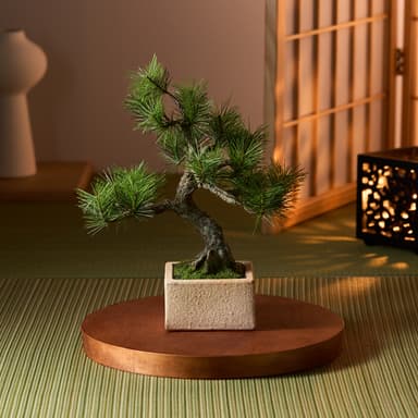 Moyogi Light 正面 on the 信楽焼鉢