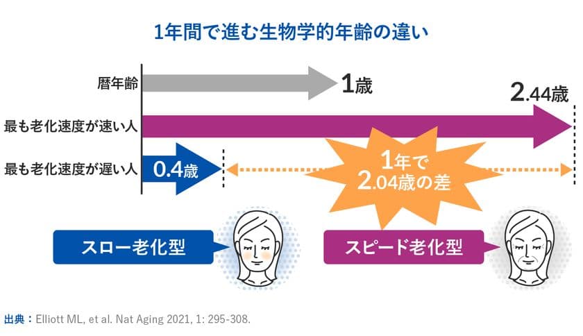 世界最先端の老化研究からわかった、腸内細菌の大事な役割　
新コラム『PoA(老化スピード)は変えられる！？』を
8月7日にwebサイトで公開