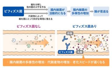 イラスト8