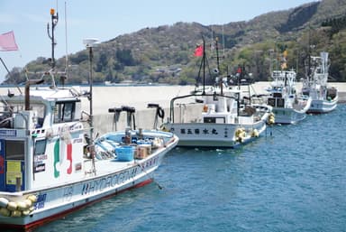 綾里の漁港