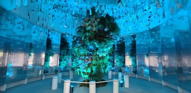 BOTANICA MUSEUM