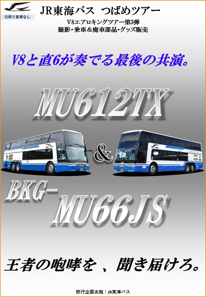 RIPSLYME　② ツアースタッフ用　アクセスオールエリアパス RIPSLYME ② ツアースタッフ用 アクセスオールエリアパス RIP