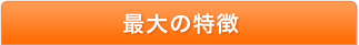 最大の特徴