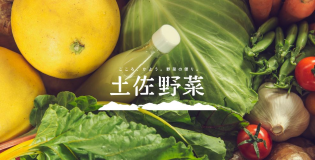“土佐のお婆ちゃんからの仕送り”風 野菜ネット通販『土佐野菜』がリブランディングして本格始動