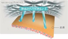 天然油とビタミンEを埋め込んだ、新しいスキンケア繊維の取扱いを開始