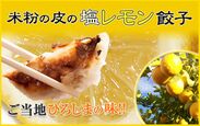レモン生産量日本一の広島から学生のアイデアで生まれた『塩レモン餃子』が人気