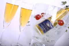 摘みたてトマトからしたたる雫だけを使用した、黄金のトマトジュースの2016年初摘みプレミアム発売