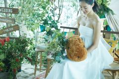 大人気キャラクター「カピバラさん」公式ウェディング　2016年6月15日(水)よりHANDS made Weddingにて販売開始