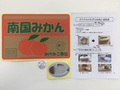 猫vsダンボール　入る・乗る・のぞいてみる？“リアルいたずらBANKキャンペーン”キット発送開始！