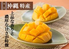 チバリヨー！沖縄県中城村を応援するふるさと納税に季節限定　中城村産マンゴーが登場！