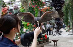 加茂荘花鳥園、楽しみながら学べる子供向イベント開催　『生涯学習　こどもまなびの場』7月1日～8月末まで　～小学生以下は入園料無料～