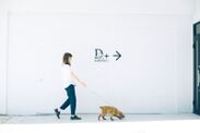 神の国 霧島で“愛犬の厄払い”　ラグジュアリーな愛犬旅行を提供するD+KIRISHIMAが『愛犬の厄払いプラン』を開始
