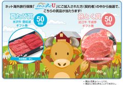 海外旅行保険のエイチ・エス損害保険　7月1日から『夏たび応援フェア』を開催！