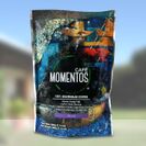 日本初上陸のグアテマラ産ブレンドコーヒーを取扱開始　通販サイト「Cafe MOMENTOS from Guatemala」がオープン！