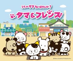 22年ぶりの新作アニメ『タマ＆フレンズ ～うちのタマ知りませんか？～』いよいよ10月、放送開始が決定！