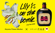 青山フラワーマーケットと1週間限定コラボ！西麻布「スナックだるま」がユリで溢れる「Lily Bar」に！『Lily is on the bottle in だるま』7月25日から開催