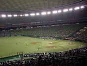 「埼玉県のプロスポーツを応援しよう！」～がんばれライオンズ！野球場へ行こう！！～