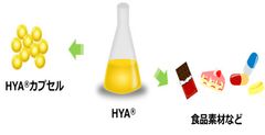 図2：HYAの利用方法