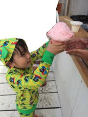 湘南、腰越海岸の海の家に「スノースィーツ」登場　かき氷でもアイスクリームでもない！まるでチーズケーキのような味と食感！