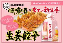 「宇都宮餃子 豚きっき 生姜餃子～岩下の新生姜使用～」