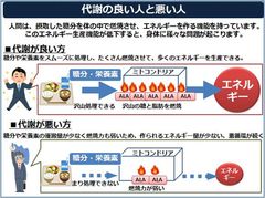 代謝の良い人と悪い人 代謝の良い人と悪い人