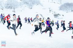 新潟・苗場の新しいスノースポーツコンテンツ　雪上ダウンヒルランニングレース『SNOW VERTICAL DOWN』2017年3月18日・19日に開催