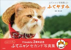 Y!mobileのCMでおなじみ猫「ふてニャン」の休日に密着　『ふてニャン写真集 ふてやすみ』が8月19日に登場！