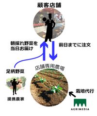 飲食店向けの新サービス「朝採れChef’s Farm」事業を開始～利用飲食店増加に伴い、飲食店向け農園を増設～