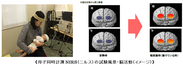 母子同時計測NIRS(ニルス)の試験風景・脳活動(イメージ)