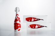 日本酒『錦鯉』が「2016年度 グッドデザイン賞」を受賞　ボトル自体が錦鯉・飲んだ後も飾って楽しめるパッケージ