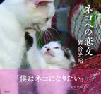 「僕はネコになりたい」―― 岩合光昭『ネコへの恋文』動物写真家・岩合光昭著　2016年10月3日(月)発売