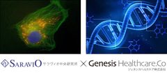 ～育毛研究のパイオニア×遺伝子検査のパイオニアによる薄毛対策研究～　サラヴィオ中央研究所とジェネシスヘルスケア株式会社が「遺伝子から紐解く」薄毛の要因因子解明に向けた共同研究開発をスタート