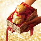 リンツ、クリスマス限定ギフトチョコレートを11月から販売「リンツテディ」のアドベントカレンダーも登場！