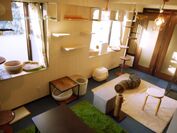 猫とフェレットのためのホテルが東京・文京区にオープン！広い個室とフリースペースで長期滞在・多頭飼育に対応