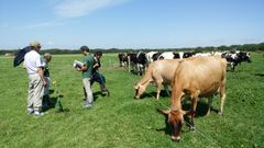 日本の酪農改革・酪農王国のノウハウを北海道で検証中「ニュージーランド・北海道酪農協力プロジェクト」調査中間報告