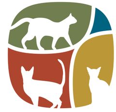 京都府初！猫専門動物病院を京都市上京区に11月25日オープン！