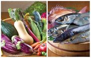 左：鎌倉・湘南野菜、右：相模湾の魚