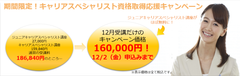 実践的なキャリア・コンサルティング力を身につける「キャリアスペシャリスト認定講座」12/2まで特別受講料に！