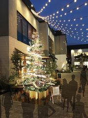 MARINE & WALK YOKOHAMAで初のクリスマスイベント開催！音楽×マーケット×ワークショップなど多彩なラインナップ