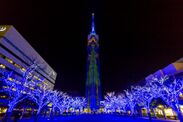 今年は新演出も登場！福岡タワーに全長108mのクリスマスツリーが点灯～「ももち☆ブルーライトイルミネーション2016」同時開催～
