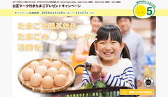 たまごの信頼と安心の証は「公正マーク」クイズに正解すると卵1ヵ月分(30個)が50名様に当たる「プレゼントキャンペーン」11月28日開始！