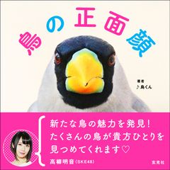 野鳥のイキイキとした“正面顔”だけを集めた写真集『鳥の正面顔』が11月30日に登場！