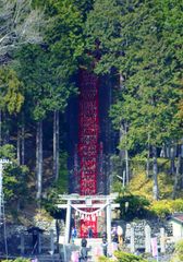 素盞鳴神社雛段飾り(1)