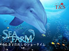 タイトル画面