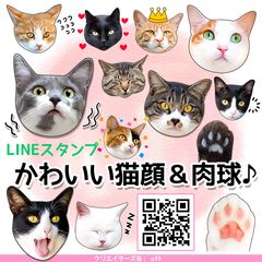 かわいくてリアルな猫のメッセージが届く！LINEスタンプシリーズに「かわいい猫顔＆肉球♪」登場