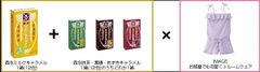 プレゼント画像