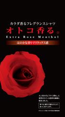 フライヤー