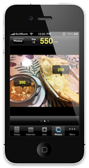 図1：FoodLog Calの画面キャプチャ(食事写真画面)
